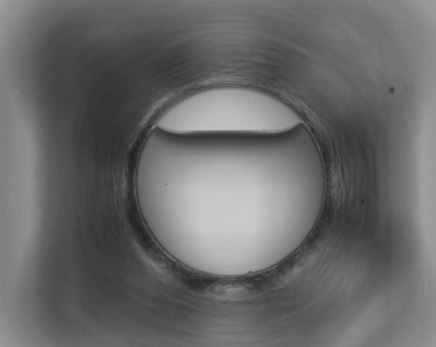 X0000112750208200908201020