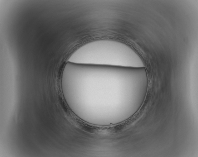 X0000112750209200908201020