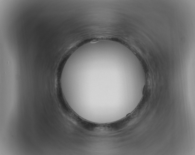 X0000112750211200908201020