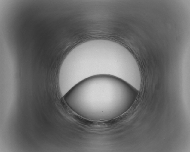 X0000112750215200908201020
