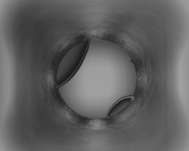 X0000112750231200908201020