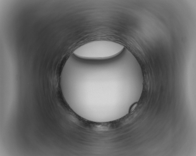 X0000112750232200908201019