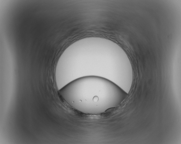 X0000112750233200908201019