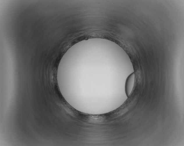 X0000112750234200908201019