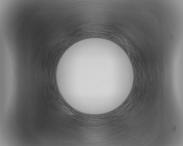 X0000112750235200908201019