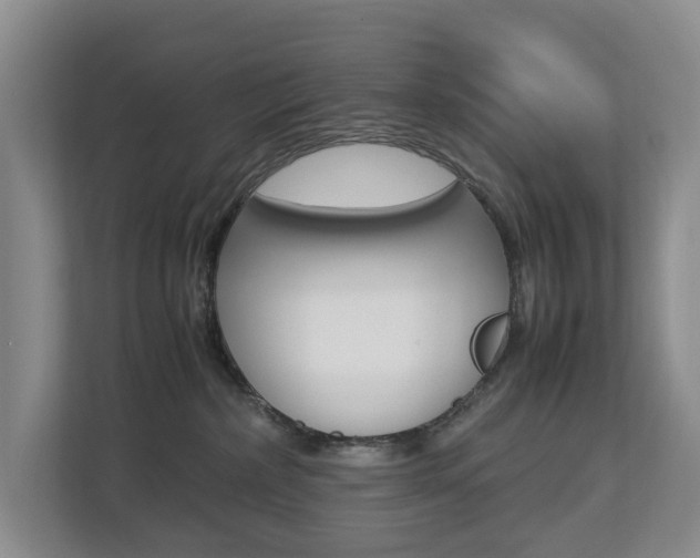 X0000112750236200908201019