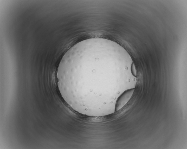 X0000112750238200908201019