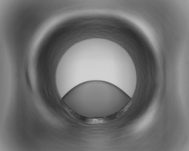 X0000112750239200908201019
