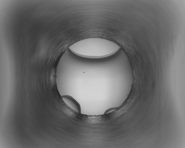X0000112750240200908201019