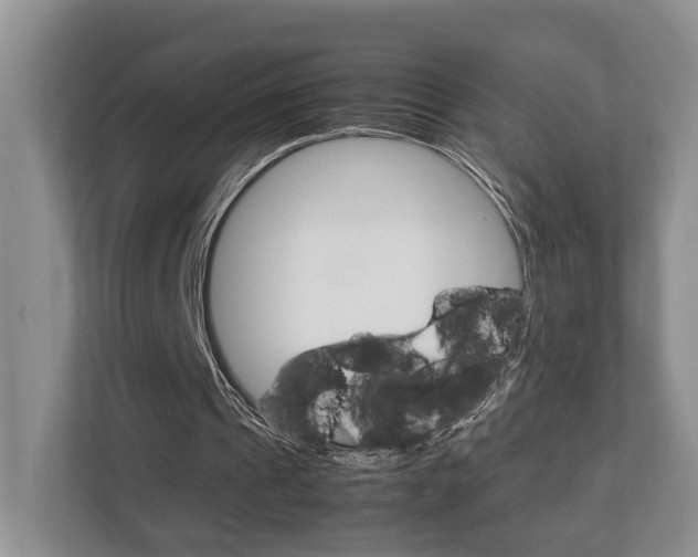 X0000112750241200908201019