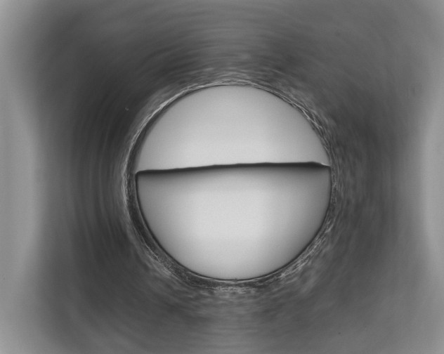 X0000112750242200908201019