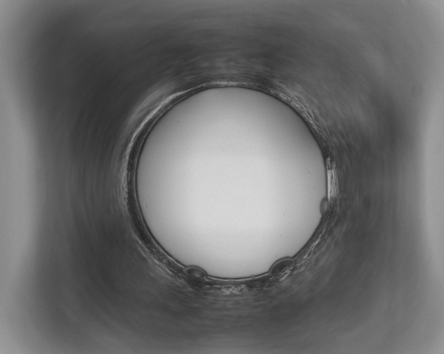X0000112750243200908201019