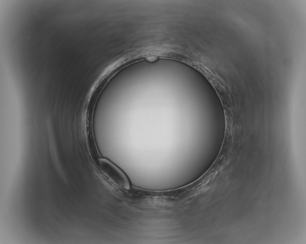 X0000112750244200908201019