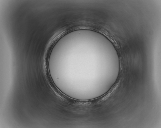 X0000112750245200908201019