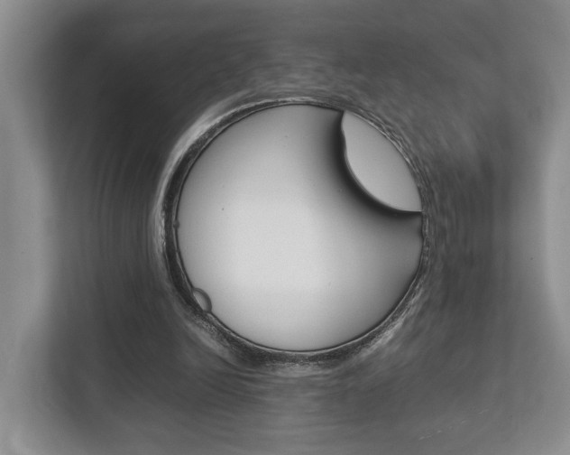 X0000112750246200908201019