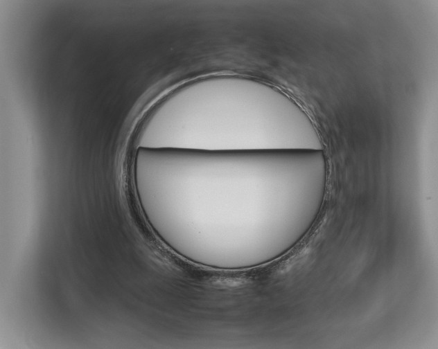X0000112750247200908201019