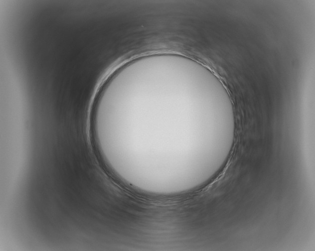 X0000112750248200908201019