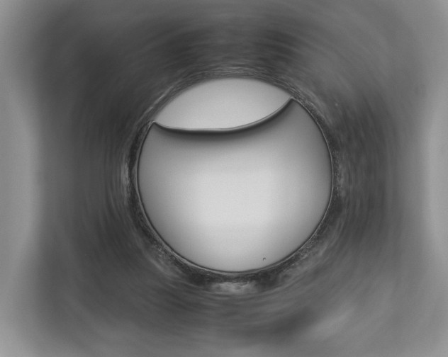 X0000112750251200908201019