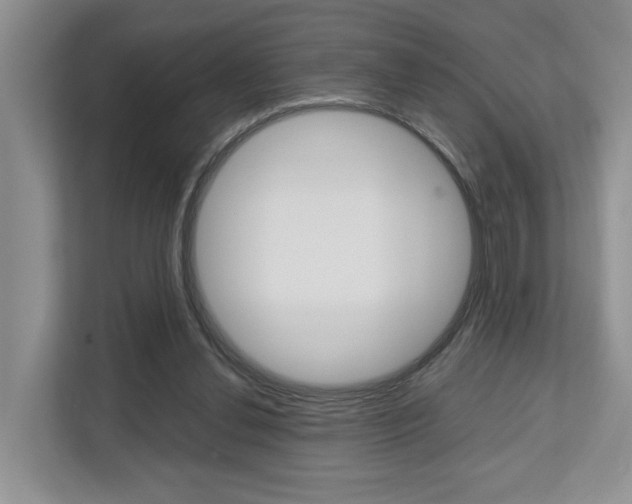 X0000112750252200908201019