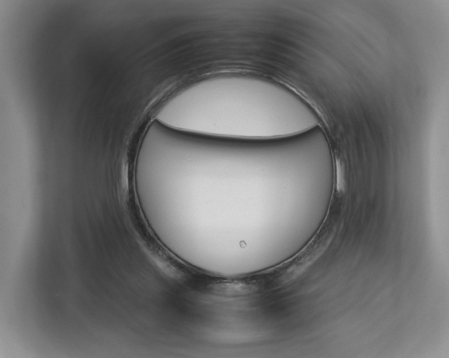 X0000112750253200908201019