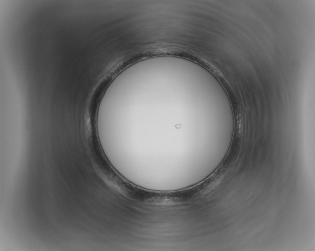 X0000112750254200908201019