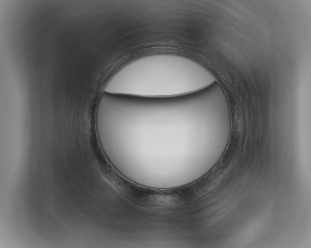 X0000112750255200908201019