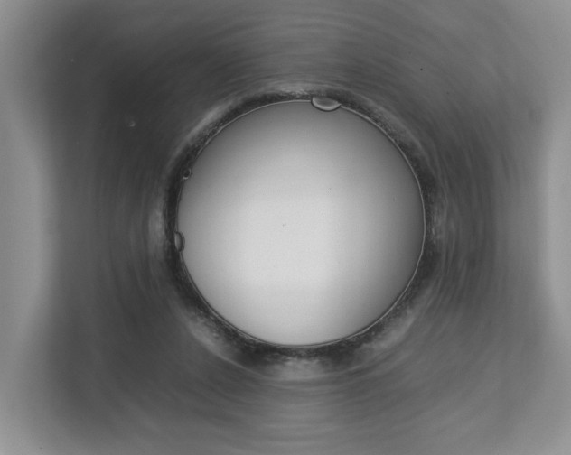 X0000112750256200908201019