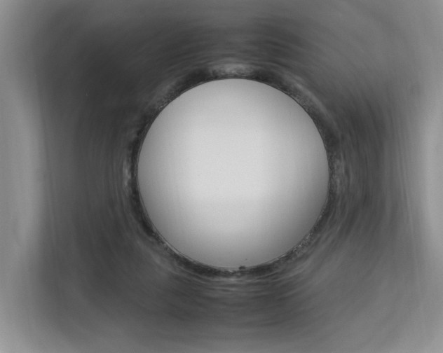 X0000112750259200908201019
