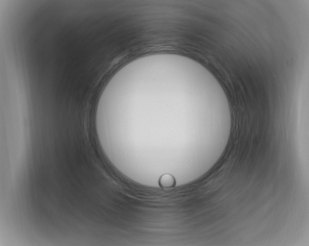 X0000112750260200908201019