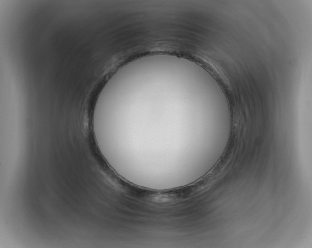 X0000112750261200908201019