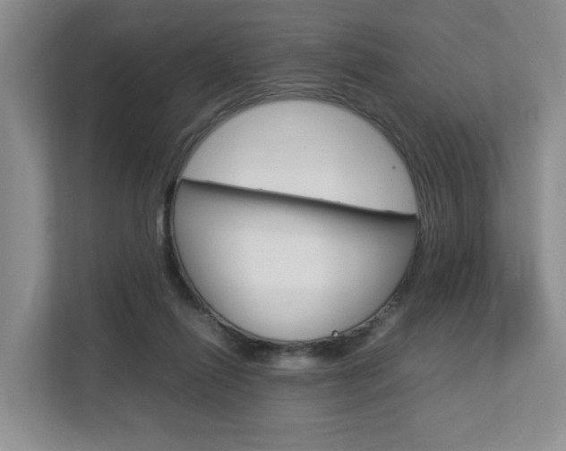 X0000112750262200908201019