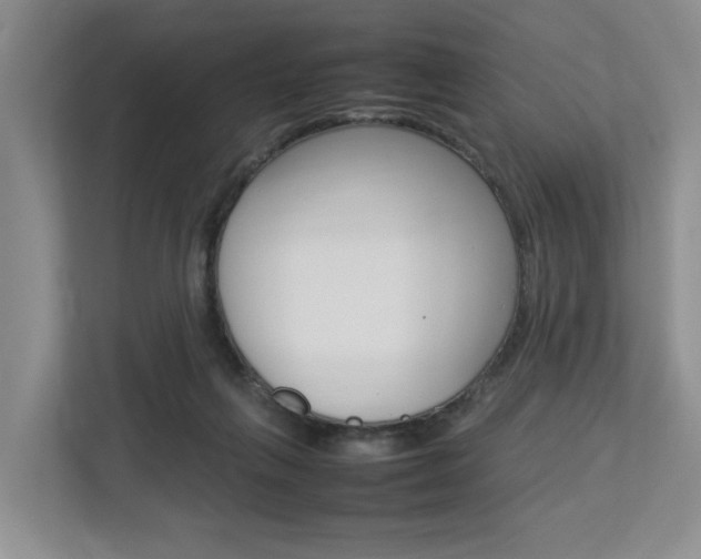 X0000112750263200908201019