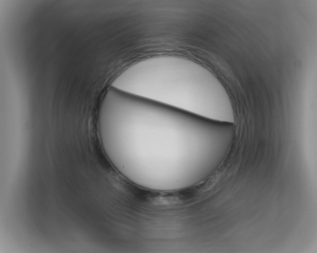 X0000112750270200908201019