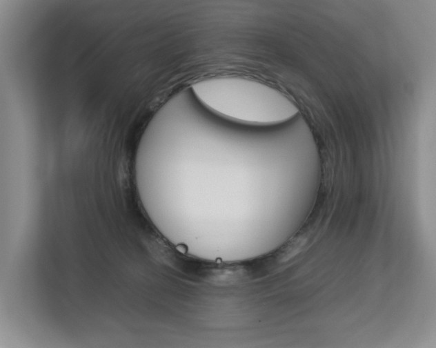 X0000112750274200908201019