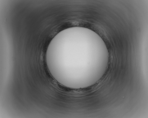 X0000112750275200908201019