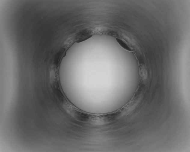 X0000112750276200908201019