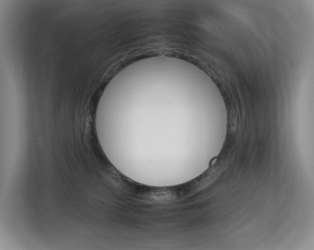 X0000112750279200908201019