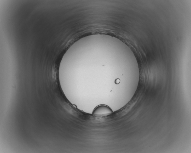 X0000112750282200908201019