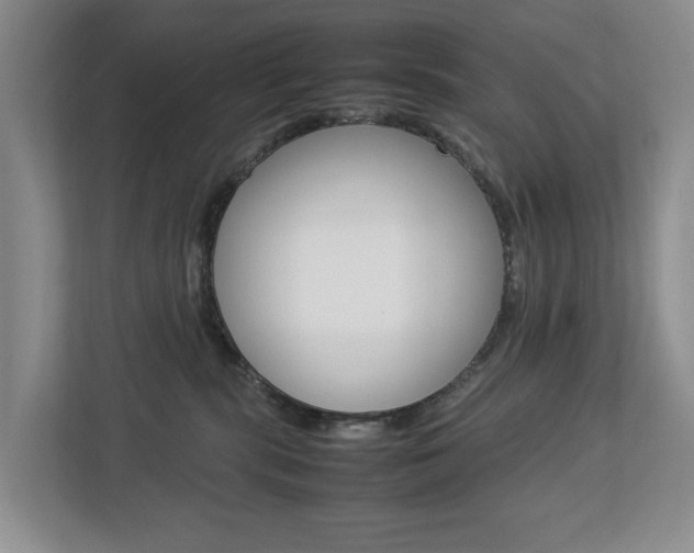 X0000112750283200908201019