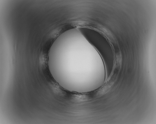 X0000112750284200908201019