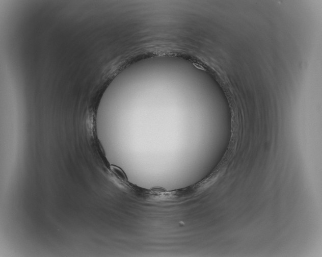 X0000112750288200908201019