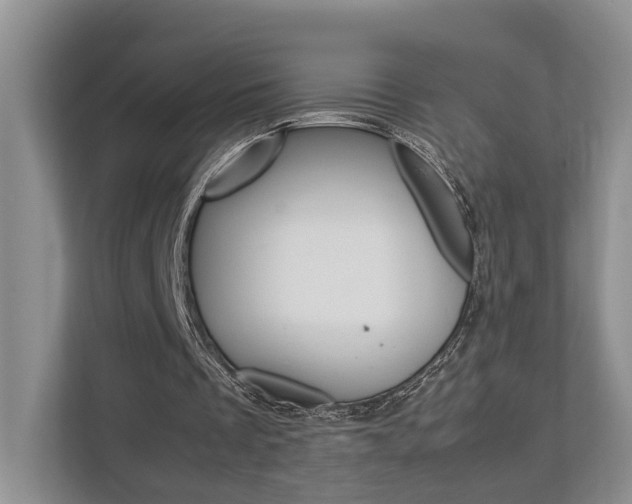 X0000112750289200908201019