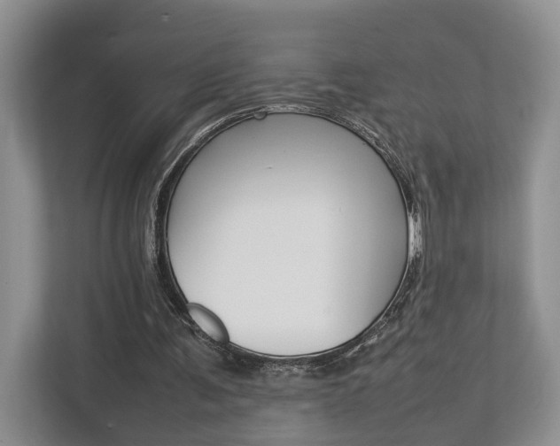X0000112750291200908201019
