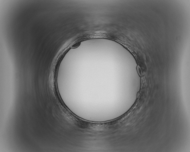 X0000112750293200908201019