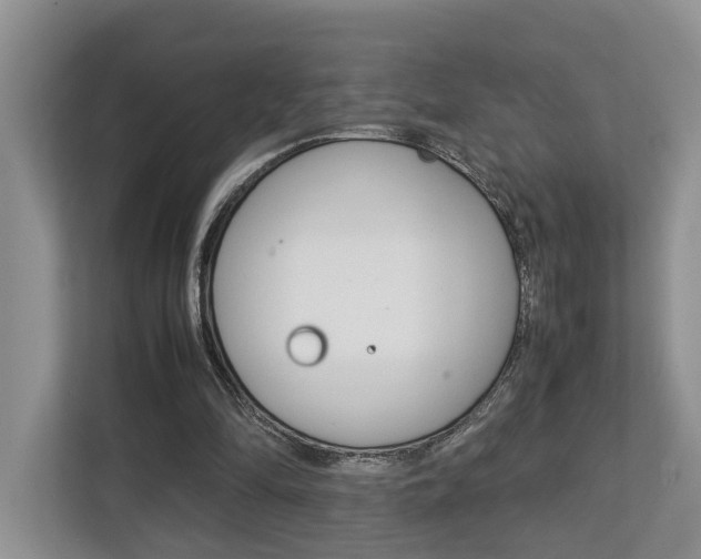 X0000112750294200908201019