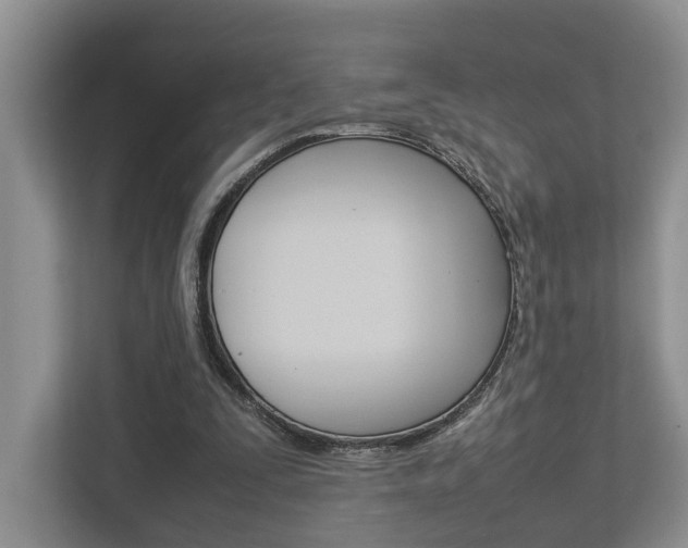 X0000112750295200908201019