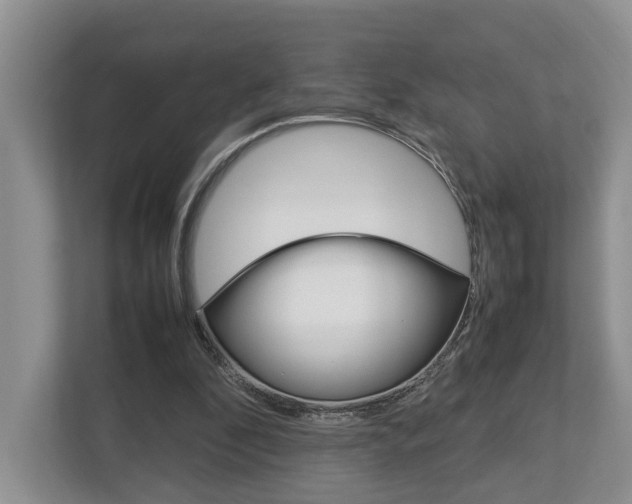 X0000112750296200908201019