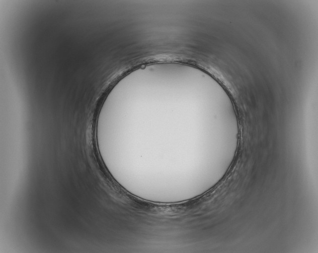 X0000112750297200908201019