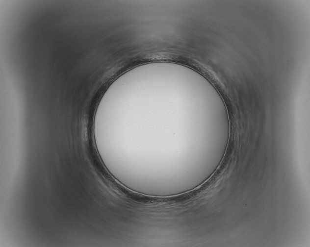 X0000112750299200908201019