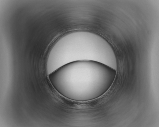 X0000112750300200908201019